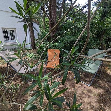 Maison Spacieuse Et Lumineuse 4 Personnes Lavilledieu  Ngoại thất bức ảnh
